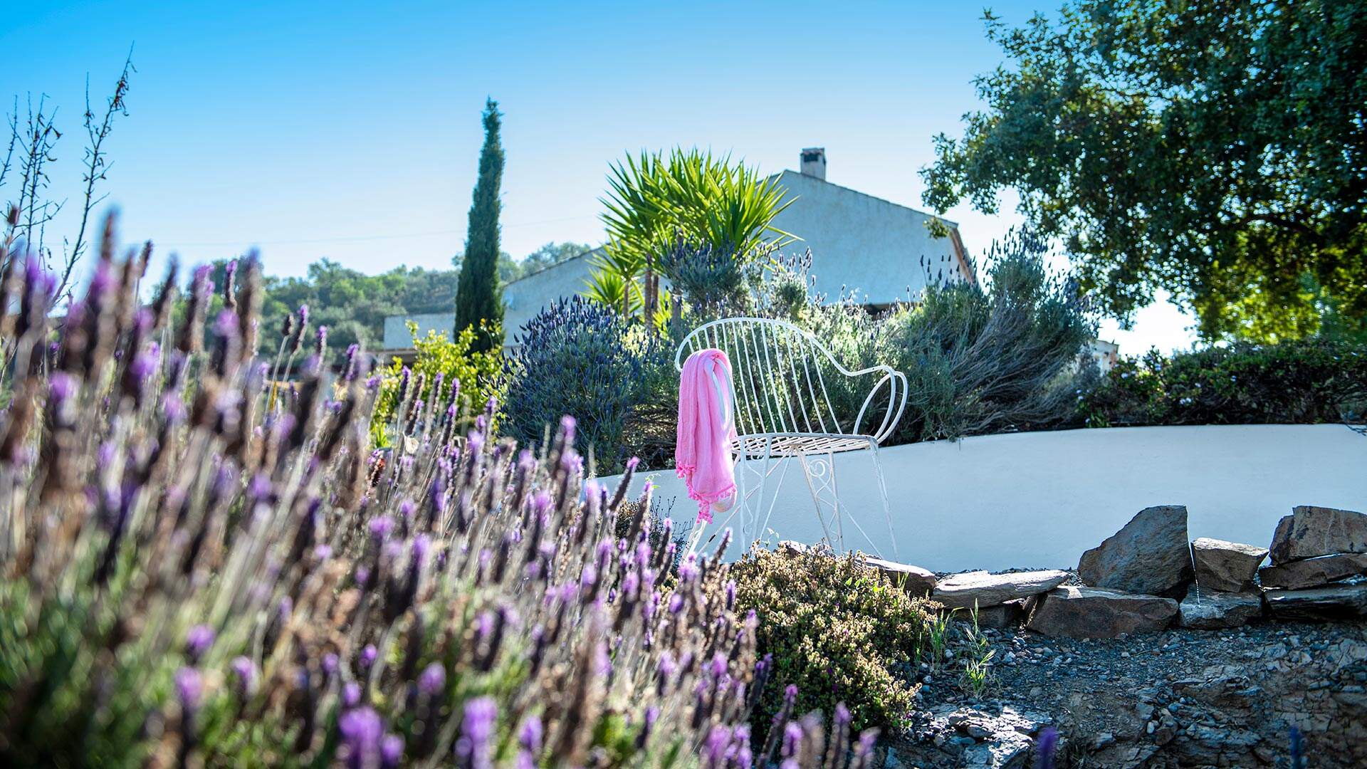 Werken bij Eliza was here vacatures