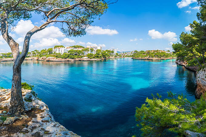 uitzicht op blauwe zee vanuit baai omgeven door bomen en geroen vakantie Mallorca Spanje