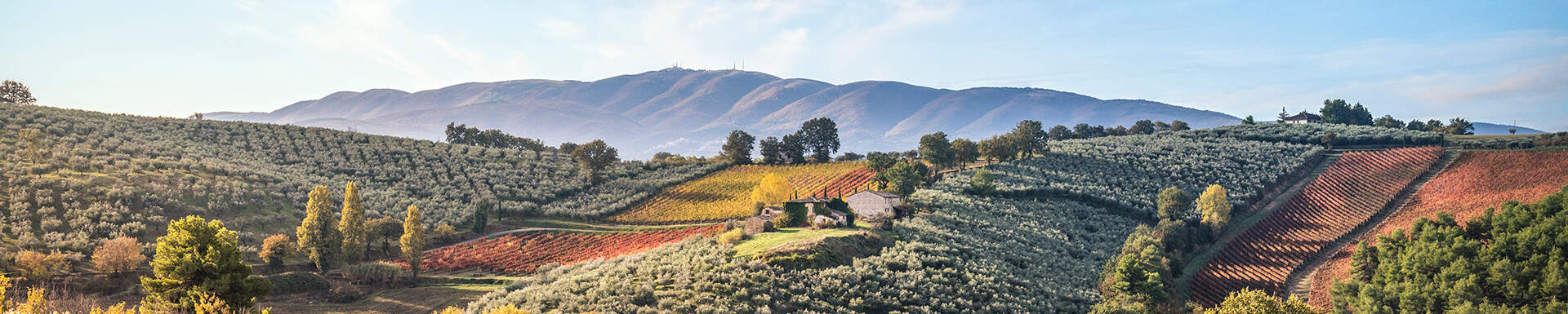 uitzicht op groen, rood en geel gekleurd landschap in umbrie, italie
