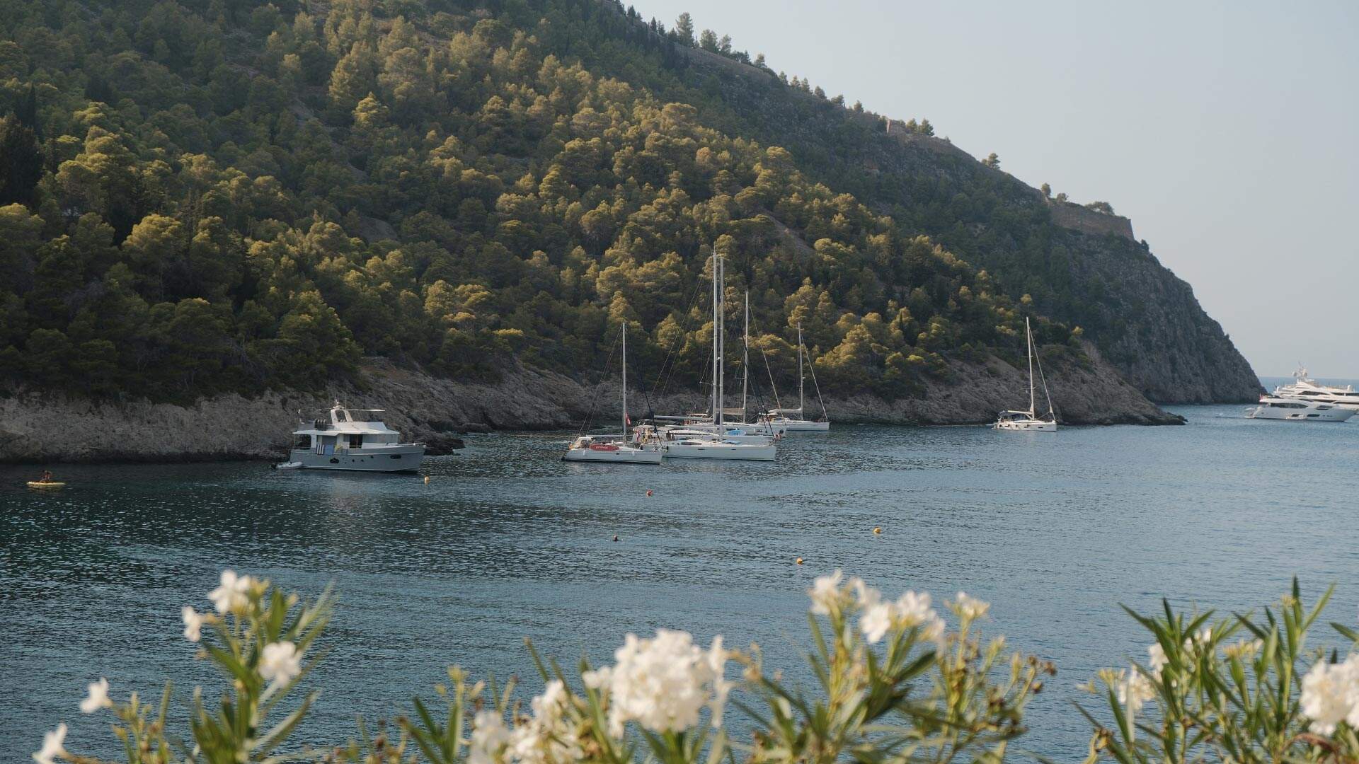 Lead Campagne Daymaker