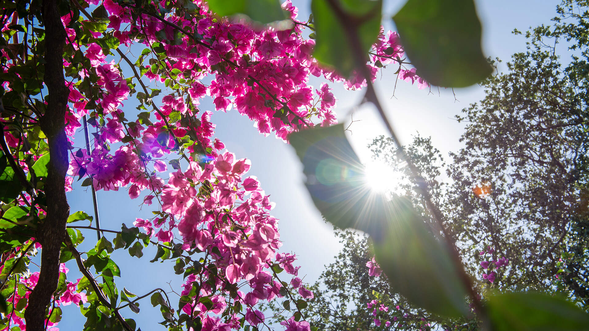 Vliegen Brussels Airport