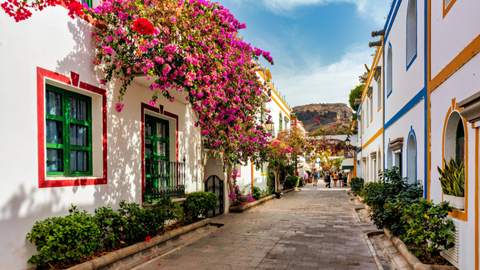 kleurrijke straat met bougainvillea