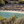 Samos strand kiezel